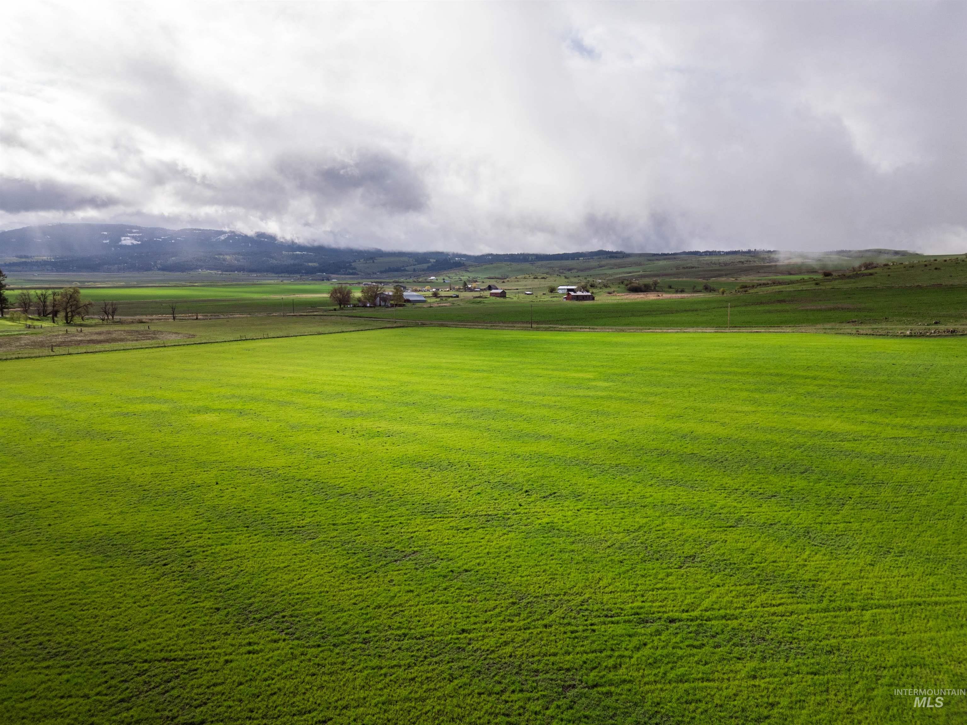 Lot 2 Gill Point Road Grangeville, ID 83530 - Photo 12 of 20