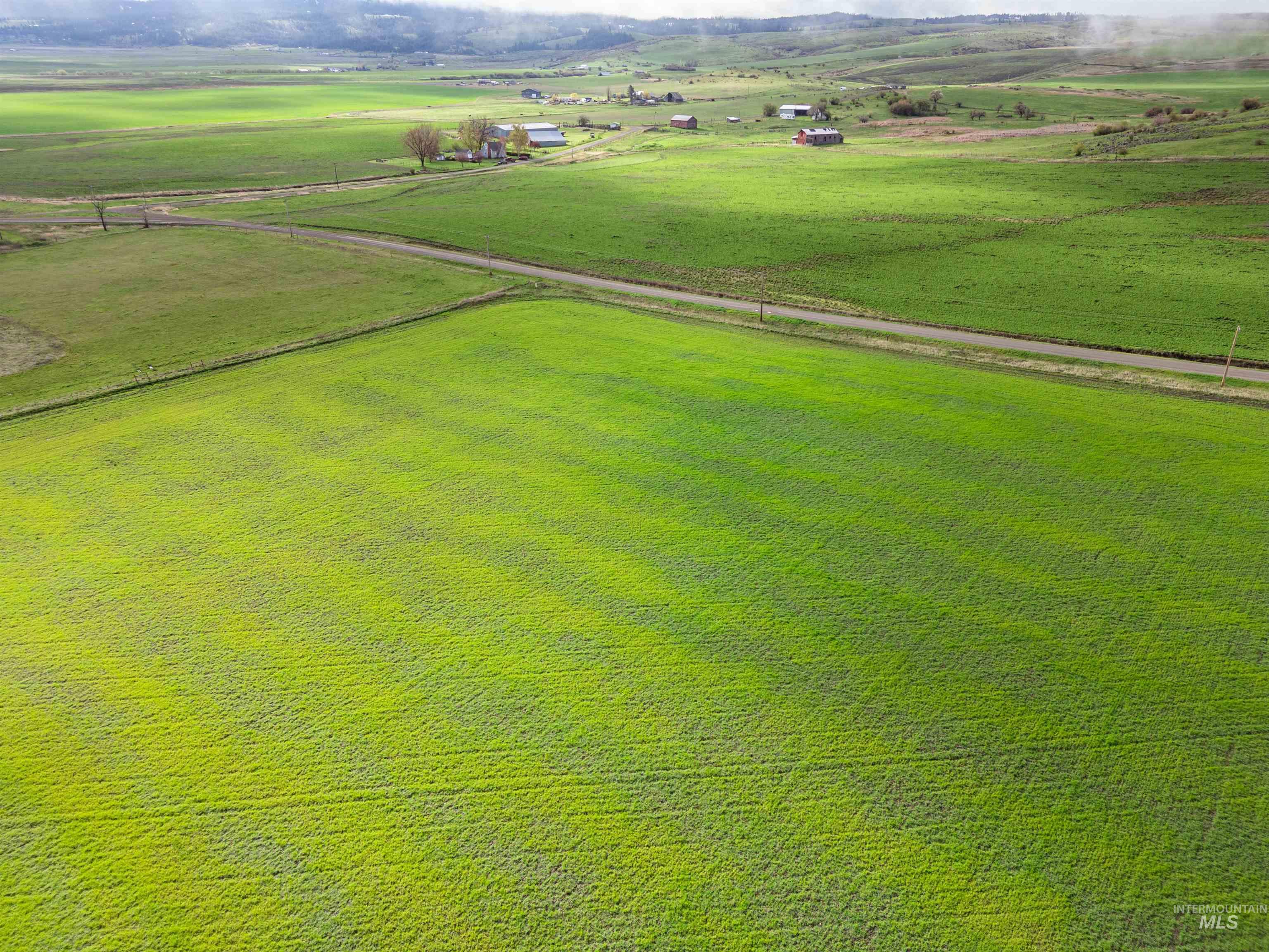 Lot 2 Gill Point Road Grangeville, ID 83530 - Photo 13 of 20