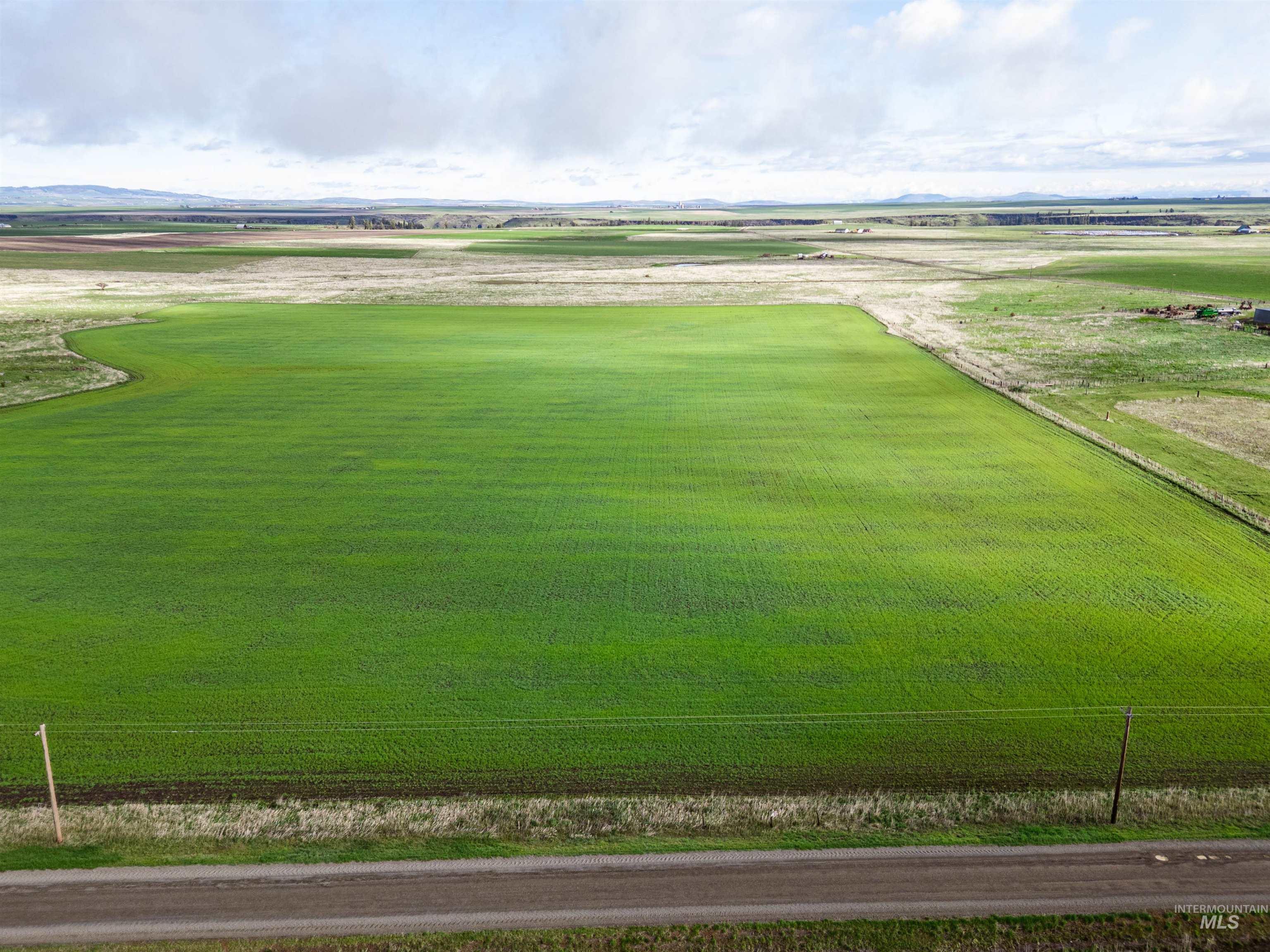 Lot 2 Gill Point Road Grangeville, ID 83530 - Photo 16 of 20