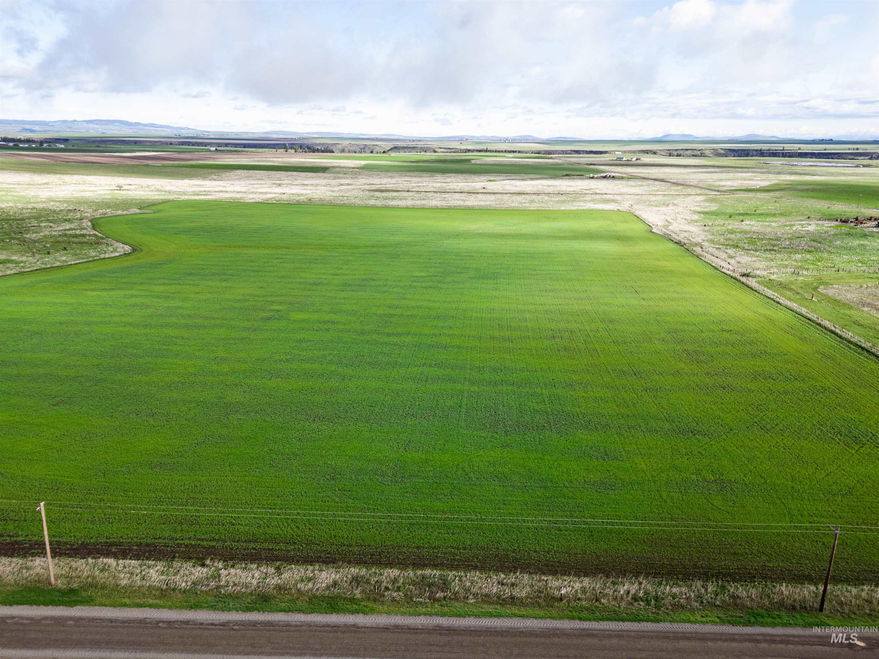 Lot 2 Gill Point Road Grangeville, ID 83530 - Photo 17 of 20