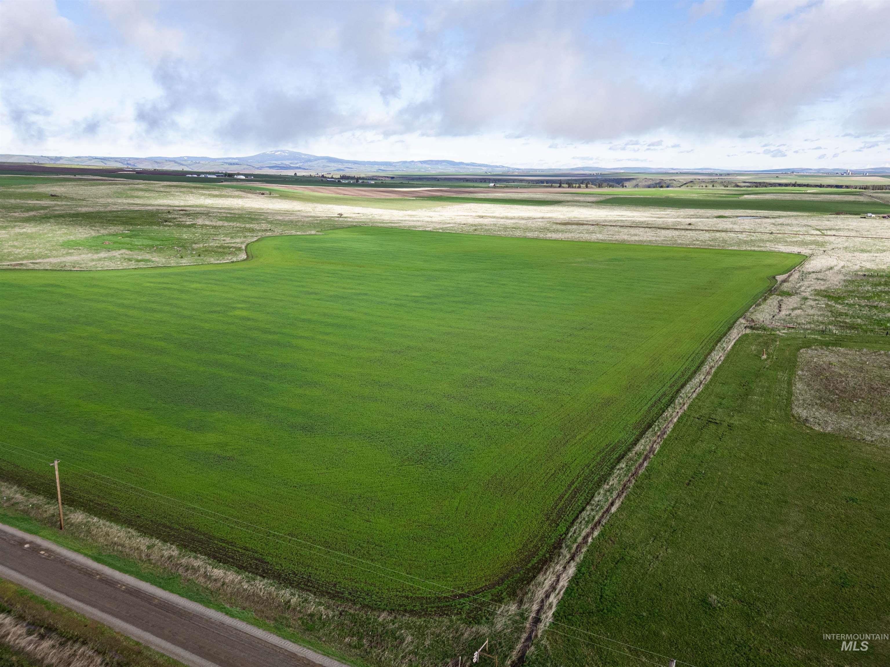 Lot 2 Gill Point Road Grangeville, ID 83530 - Photo 18 of 20