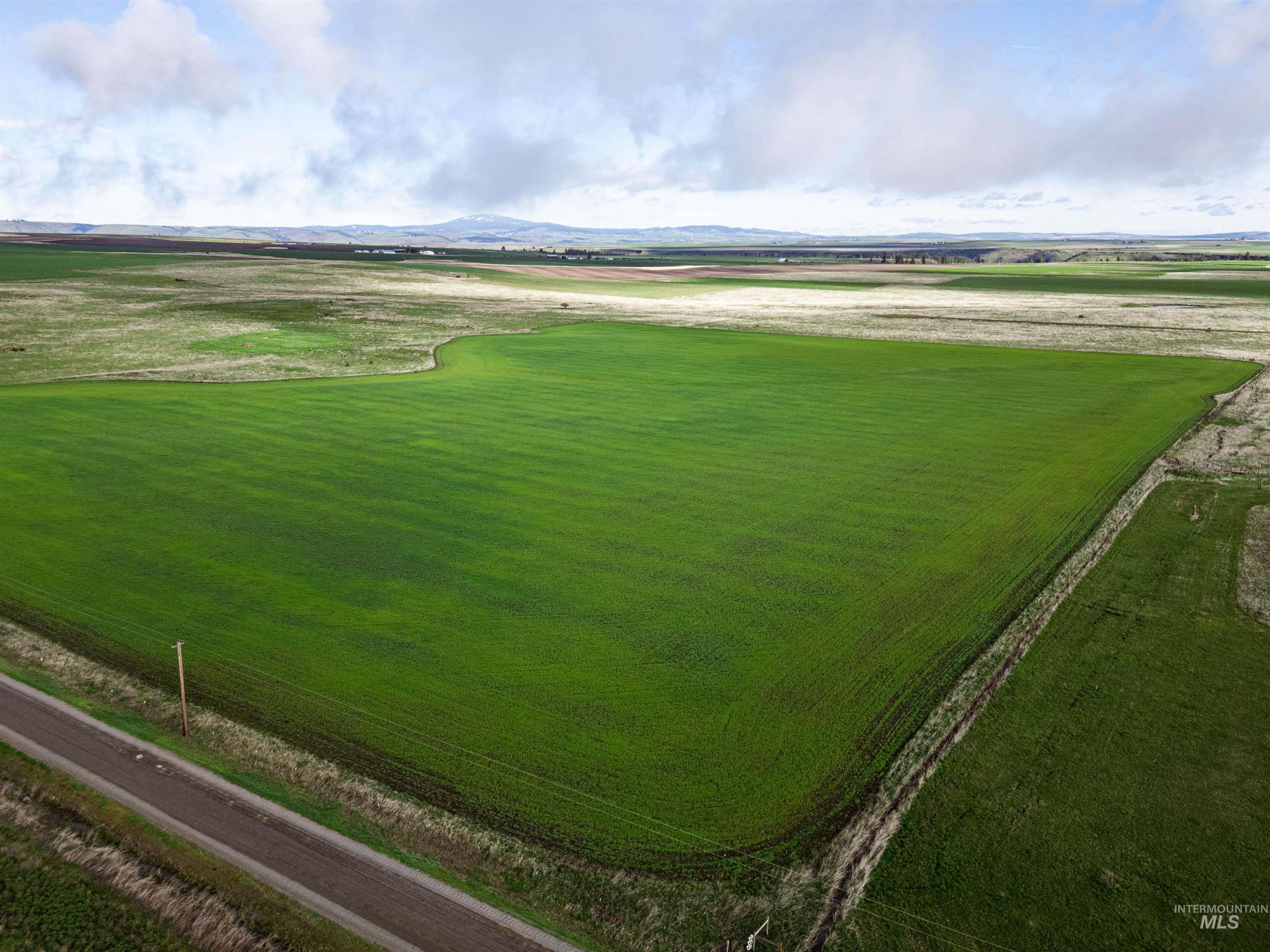 Lot 2 Gill Point Road Grangeville, ID 83530 - Photo 19 of 20