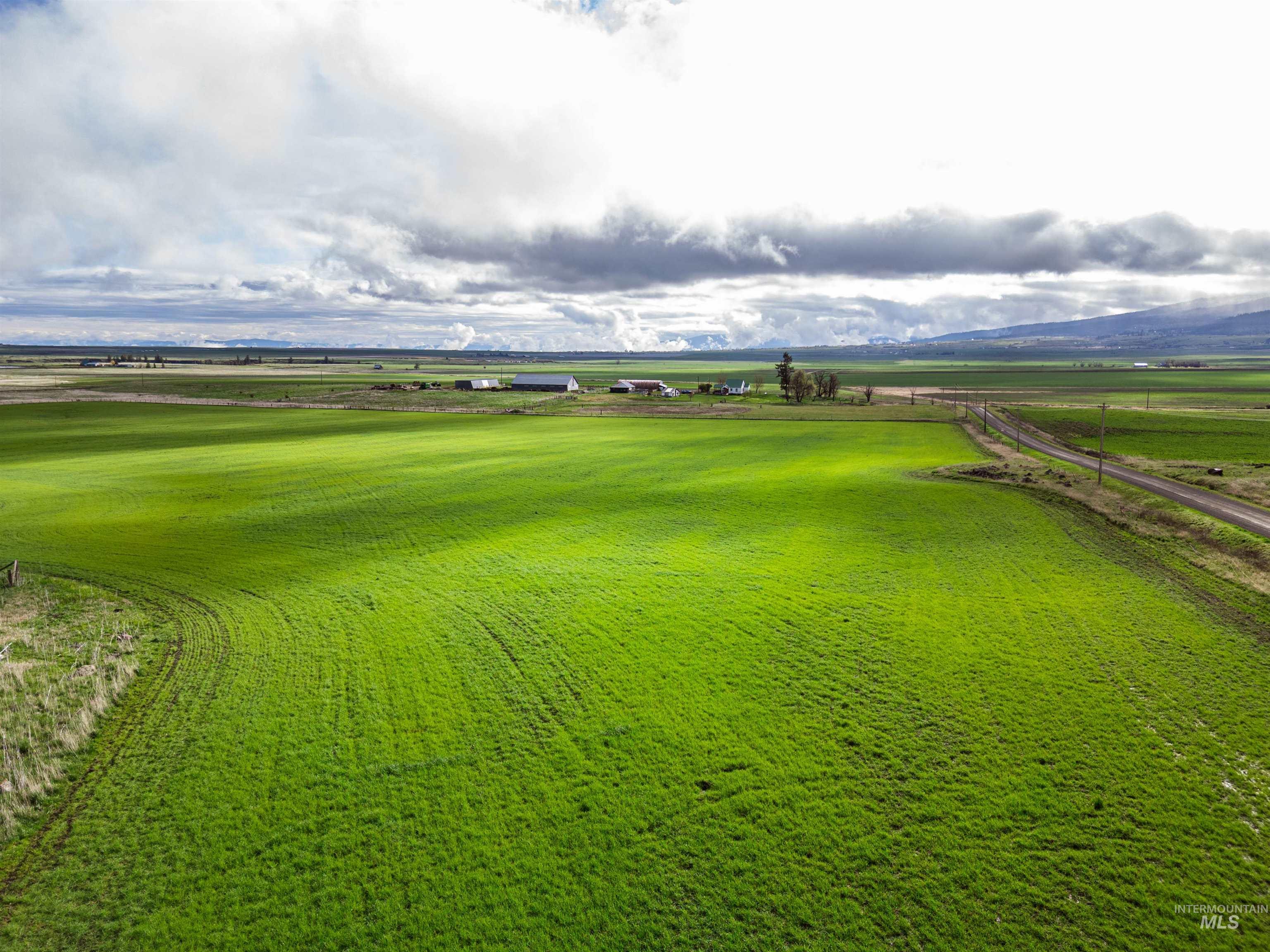Lot 2 Gill Point Road Grangeville, ID 83530 - Photo 2 of 20