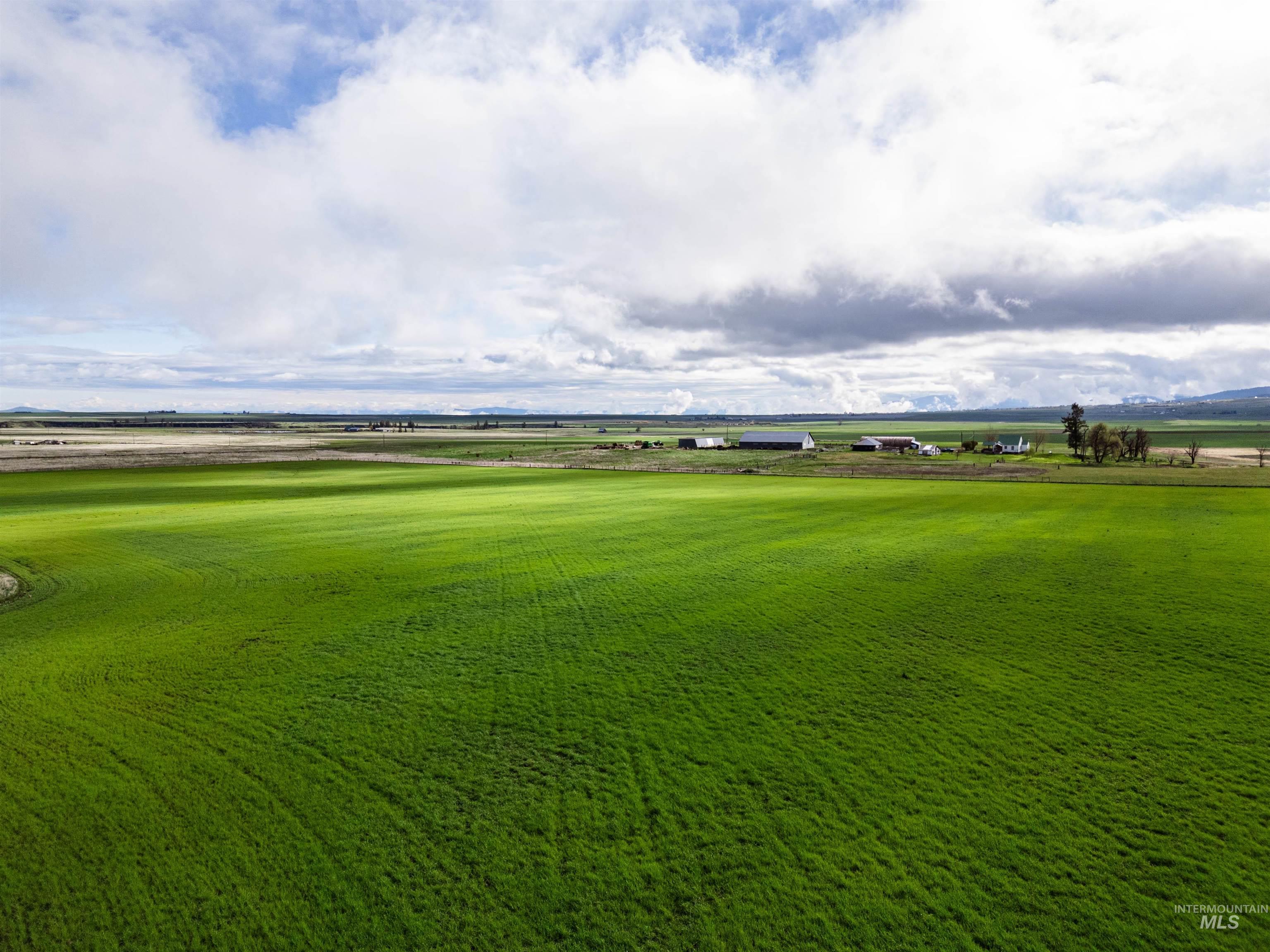 Lot 2 Gill Point Road Grangeville, ID 83530 - Photo 3 of 20