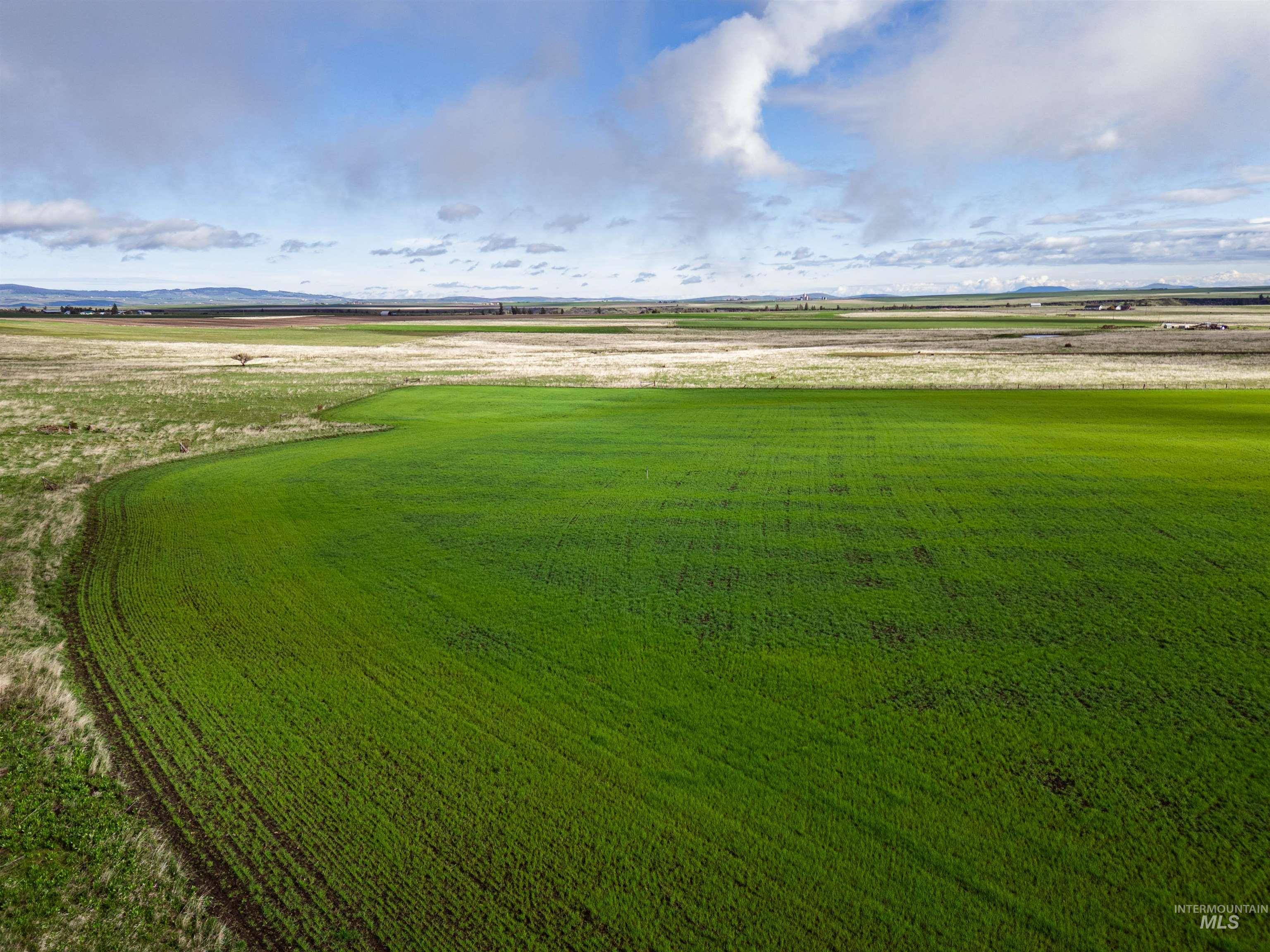 Lot 2 Gill Point Road Grangeville, ID 83530 - Photo 5 of 20