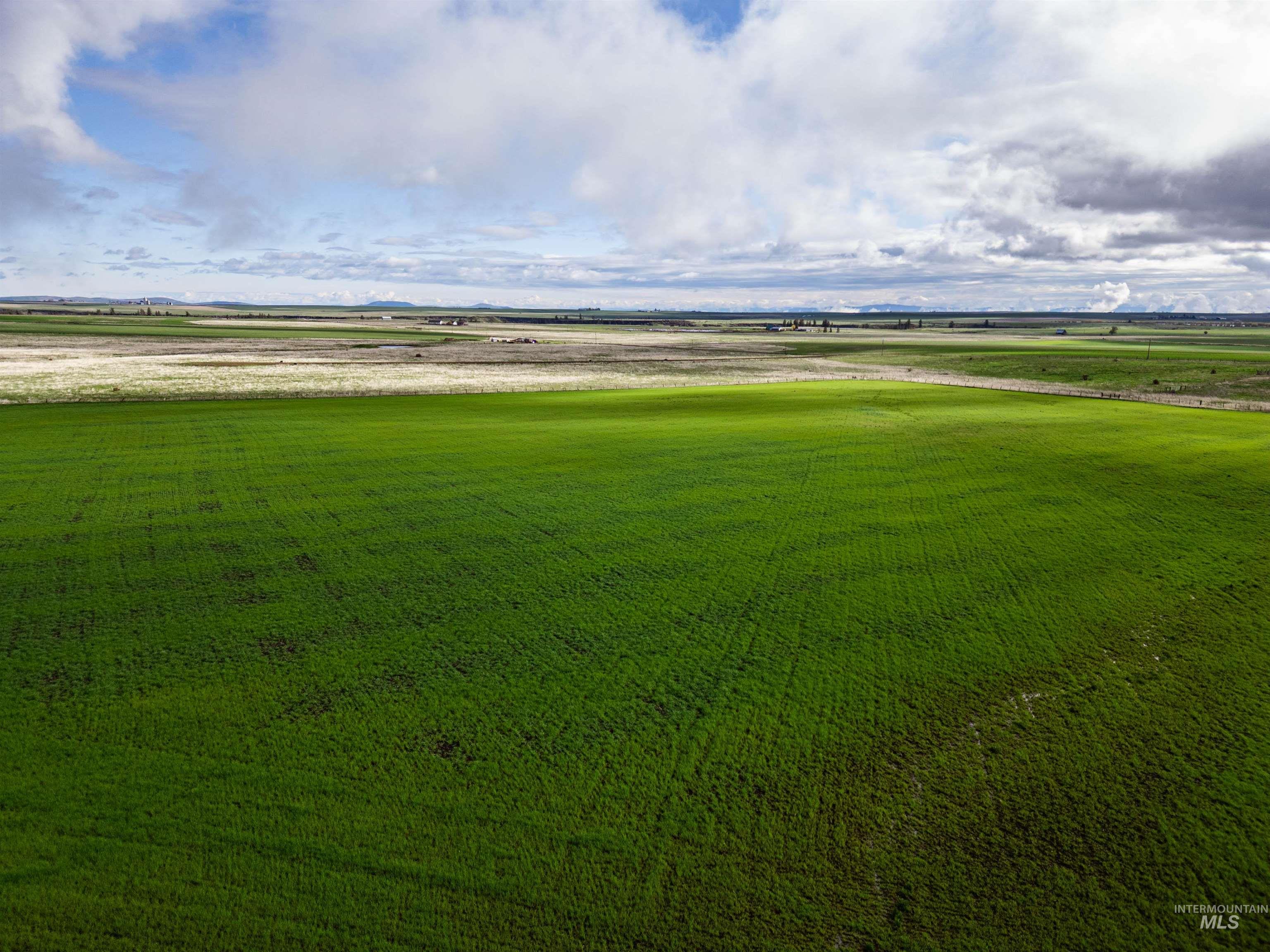 Lot 2 Gill Point Road Grangeville, ID 83530 - Photo 6 of 20