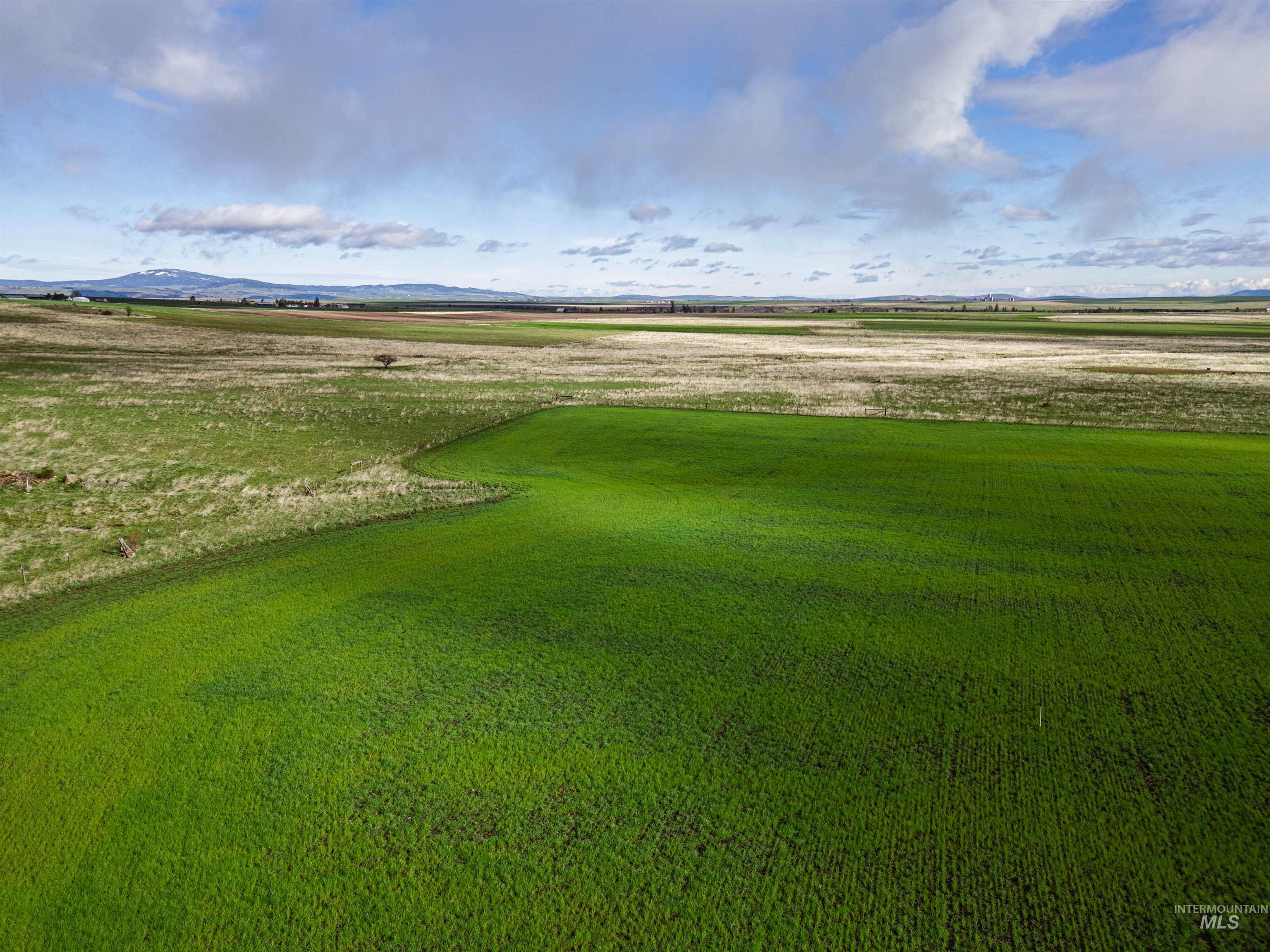 Lot 2 Gill Point Road Grangeville, ID 83530 - Photo 7 of 20