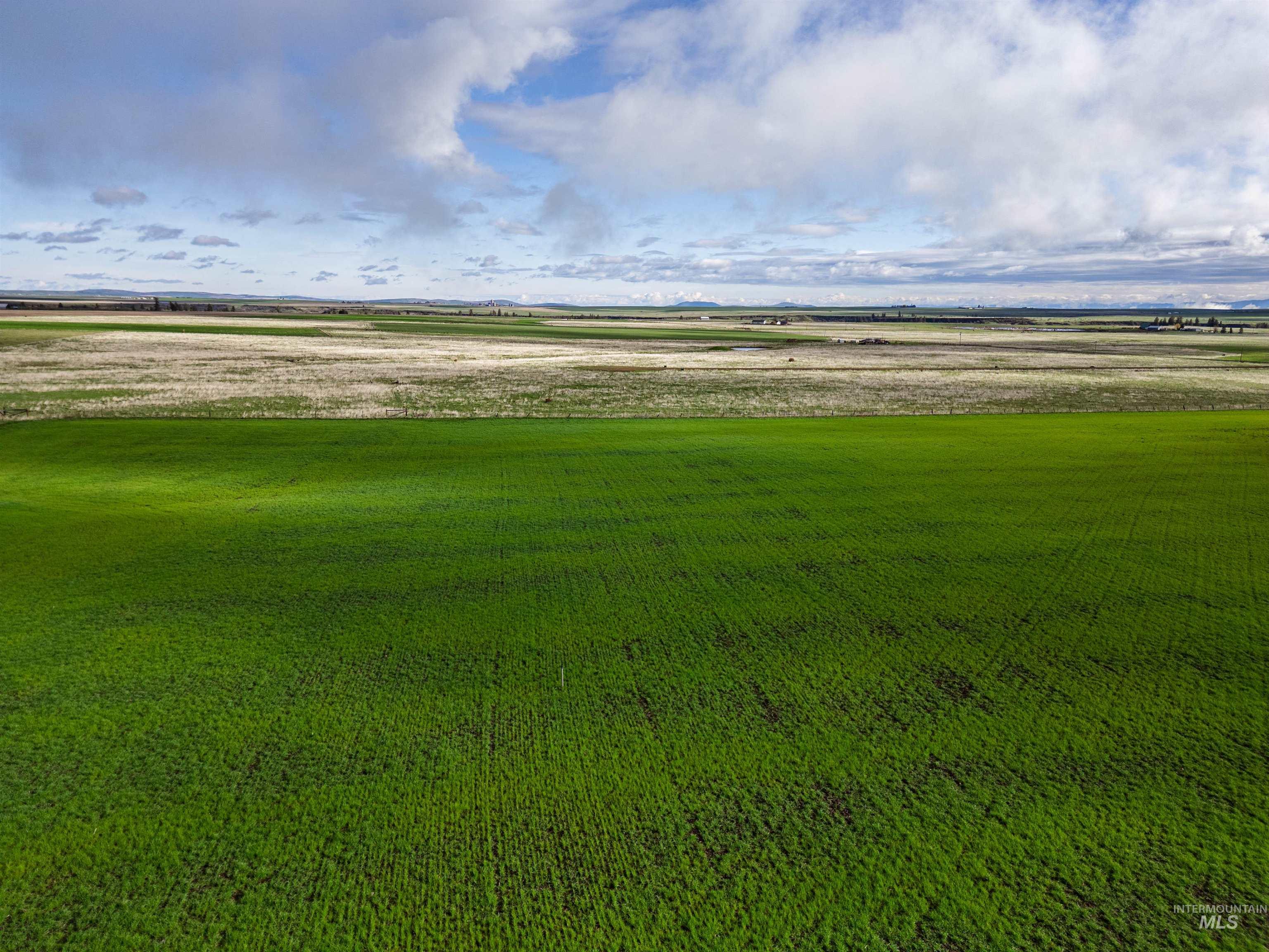 Lot 2 Gill Point Road Grangeville, ID 83530 - Photo 8 of 20