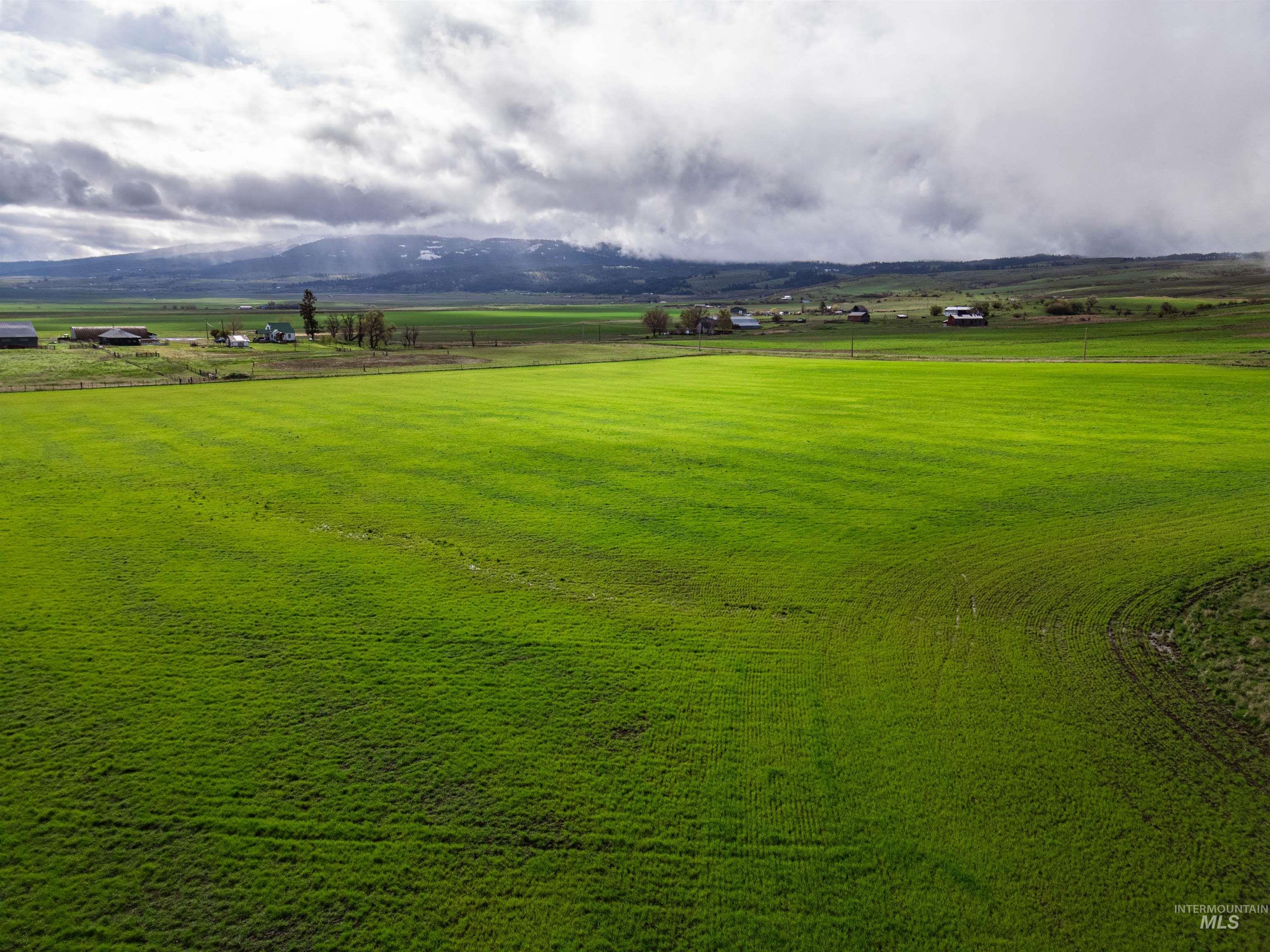 Lot 2 Gill Point Road Grangeville, ID 83530 - Photo 9 of 20