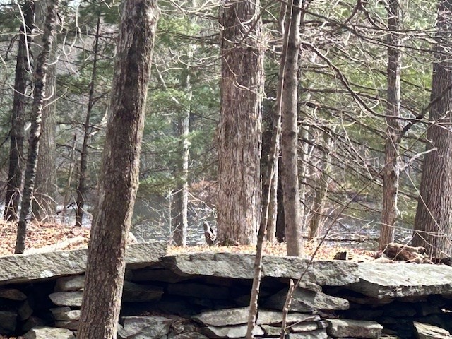 22 Carpenter Road Dudley, MA 01571 - Photo 22 of 27