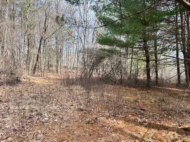 22 Carpenter Road Dudley, MA 01571 - Photo 24 of 27