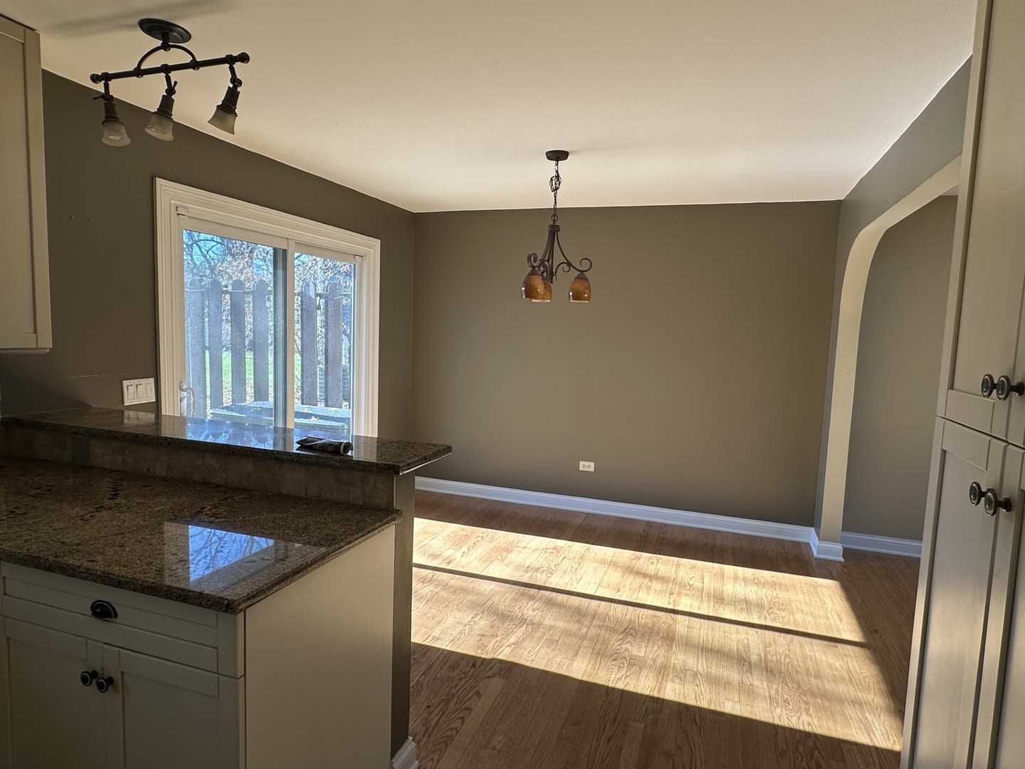 28W661 Douglas Road Naperville, IL 60564 - Photo 6 of 20