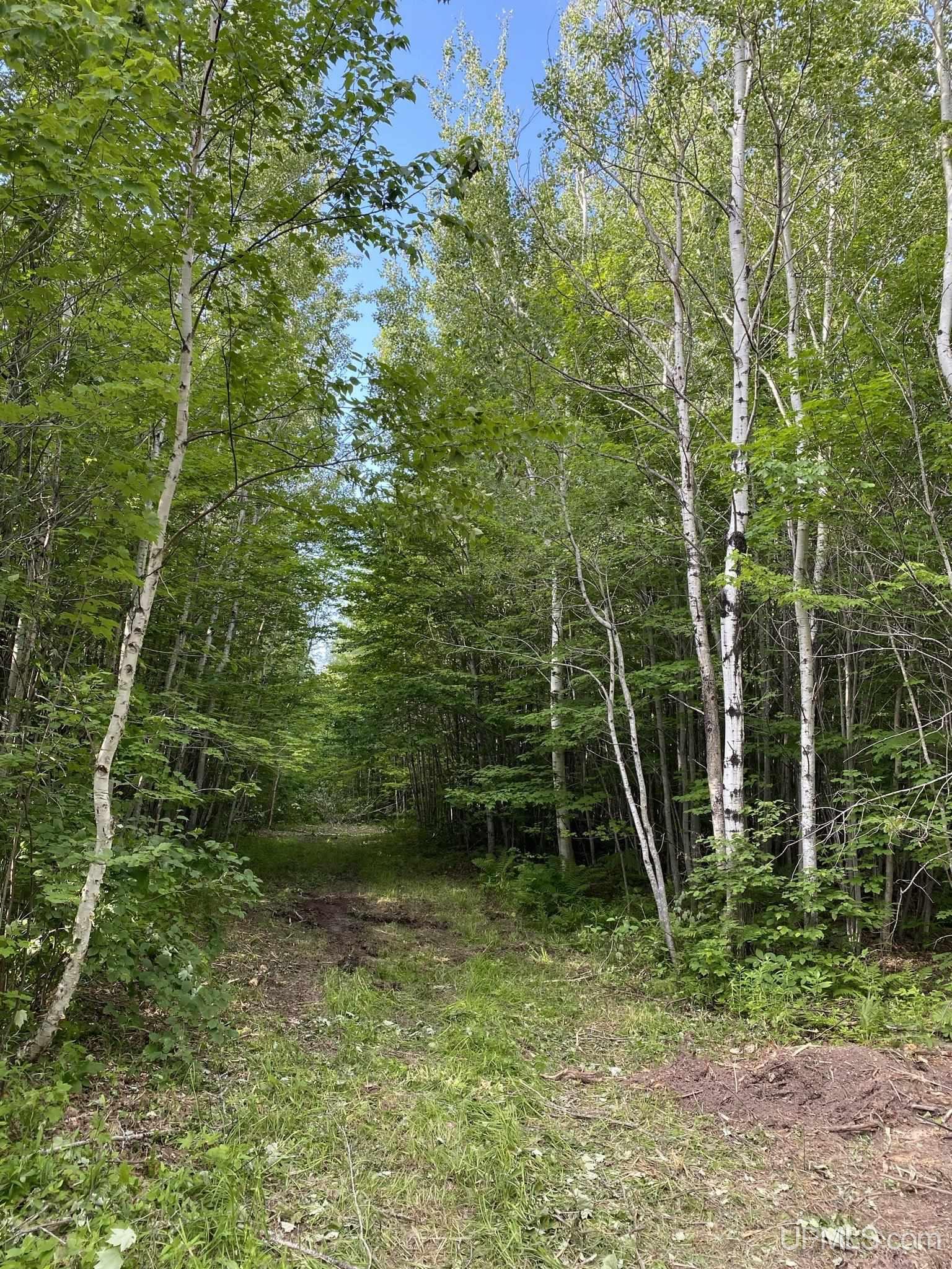 Tbd Tbd Kingfisher Road Ontonagon, MI 49953 - Photo 1 of 6