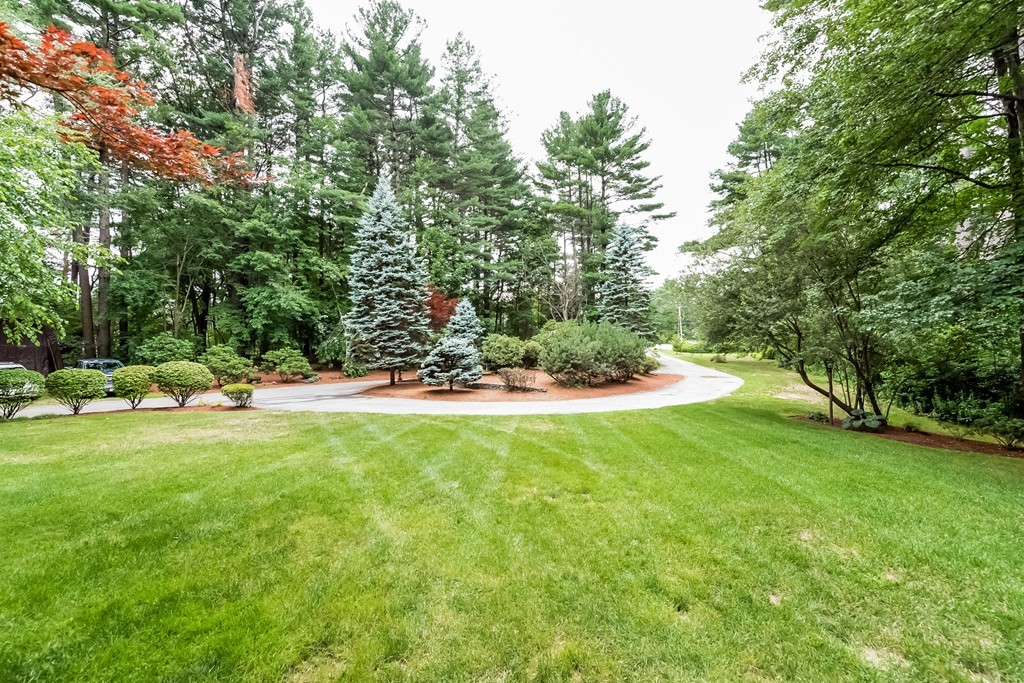 265 Andover Road Billerica, MA 01821 - Photo 4 of 30 a view of a tree in a yard