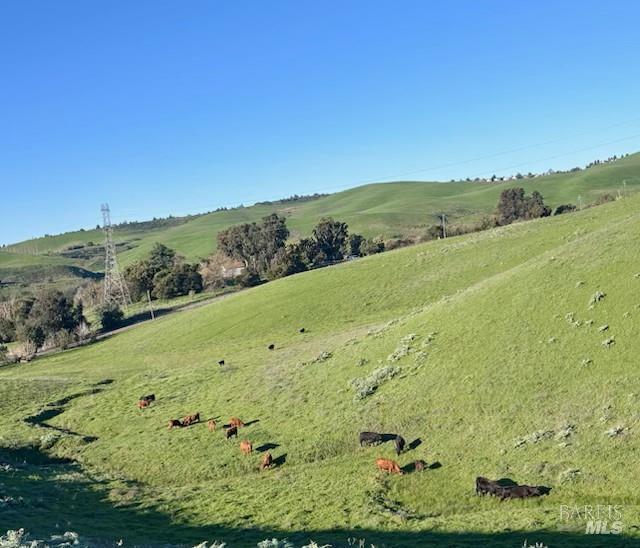 2 Lake Herman Road Benicia, CA 94510 - Photo 12 of 12 Gallery Image 12