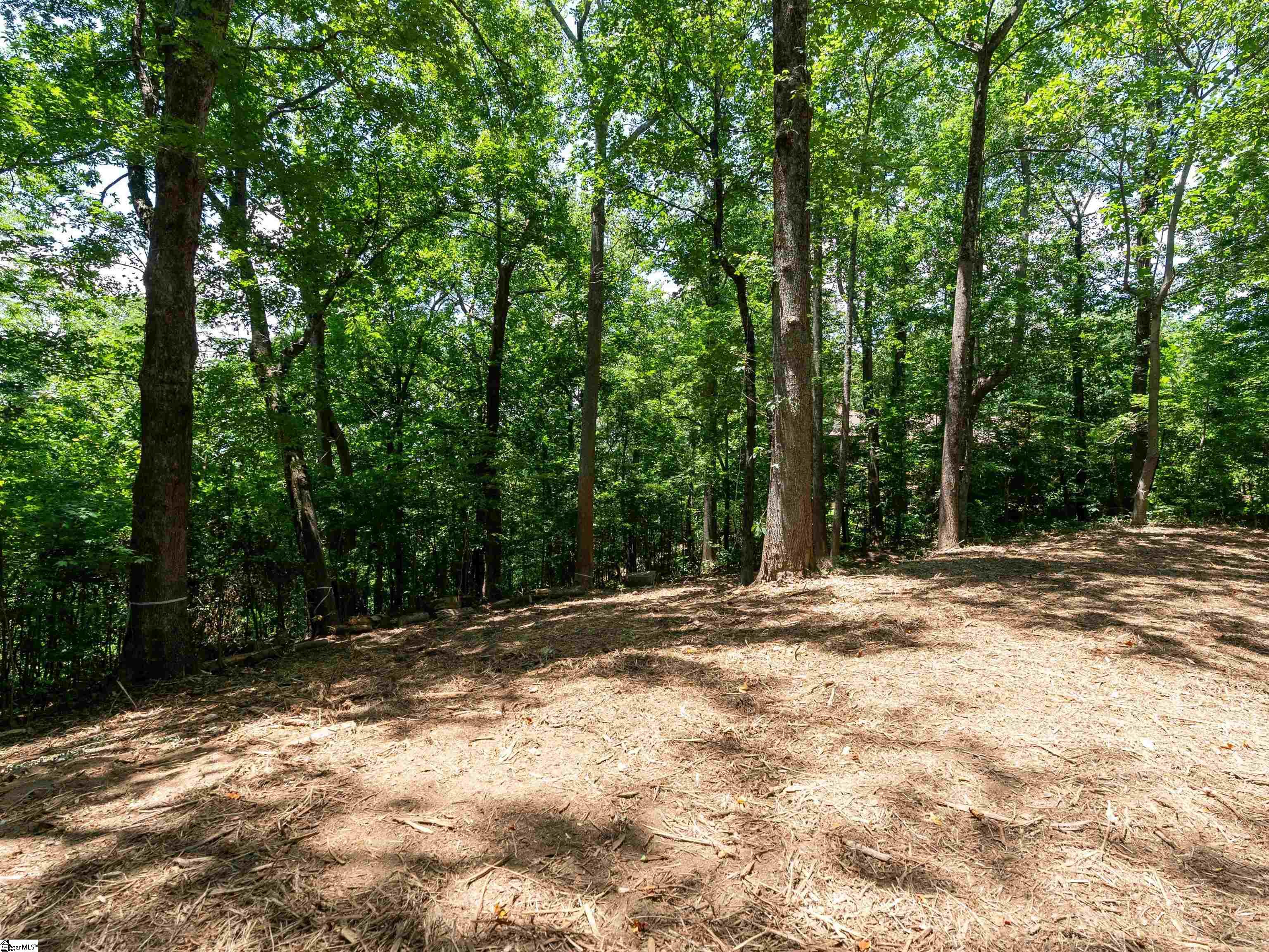 Lot 22 Plumley Summit Road Landrum, SC 29356 - Photo 17 of 27