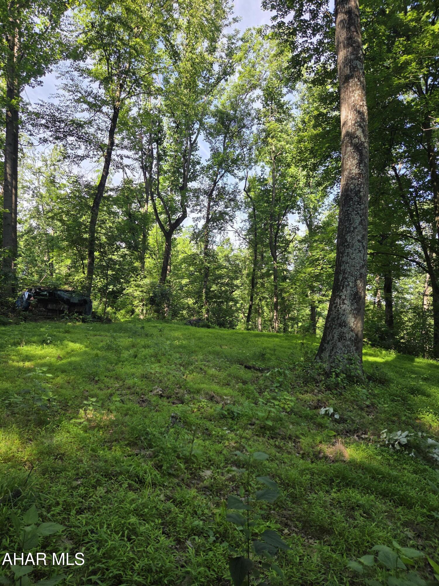 0 Sugar Ridge Road McVeytown, PA 17051 - Photo 16 of 19