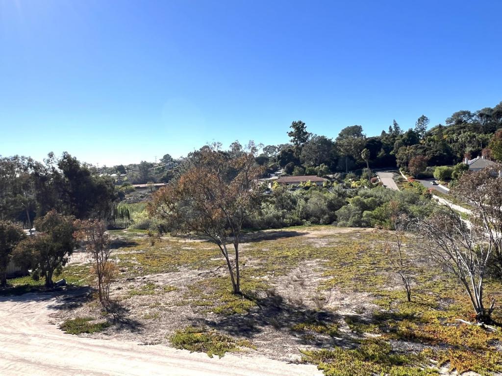 Mays Hollow Lane Encinitas, CA 92024 - Photo 4 of 6
