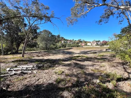 a view of a yard with a tree