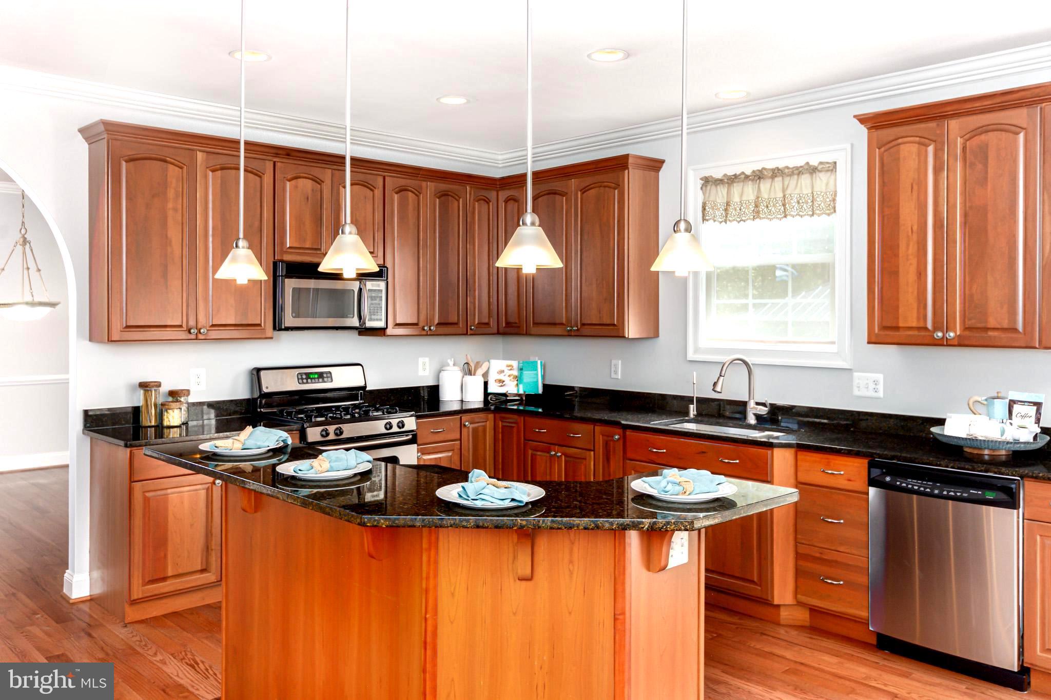3965 Patuxent River Road Davidsonville, MD 21035 - Photo 15 of 66 Stainless upgraded appliances, pendant lights