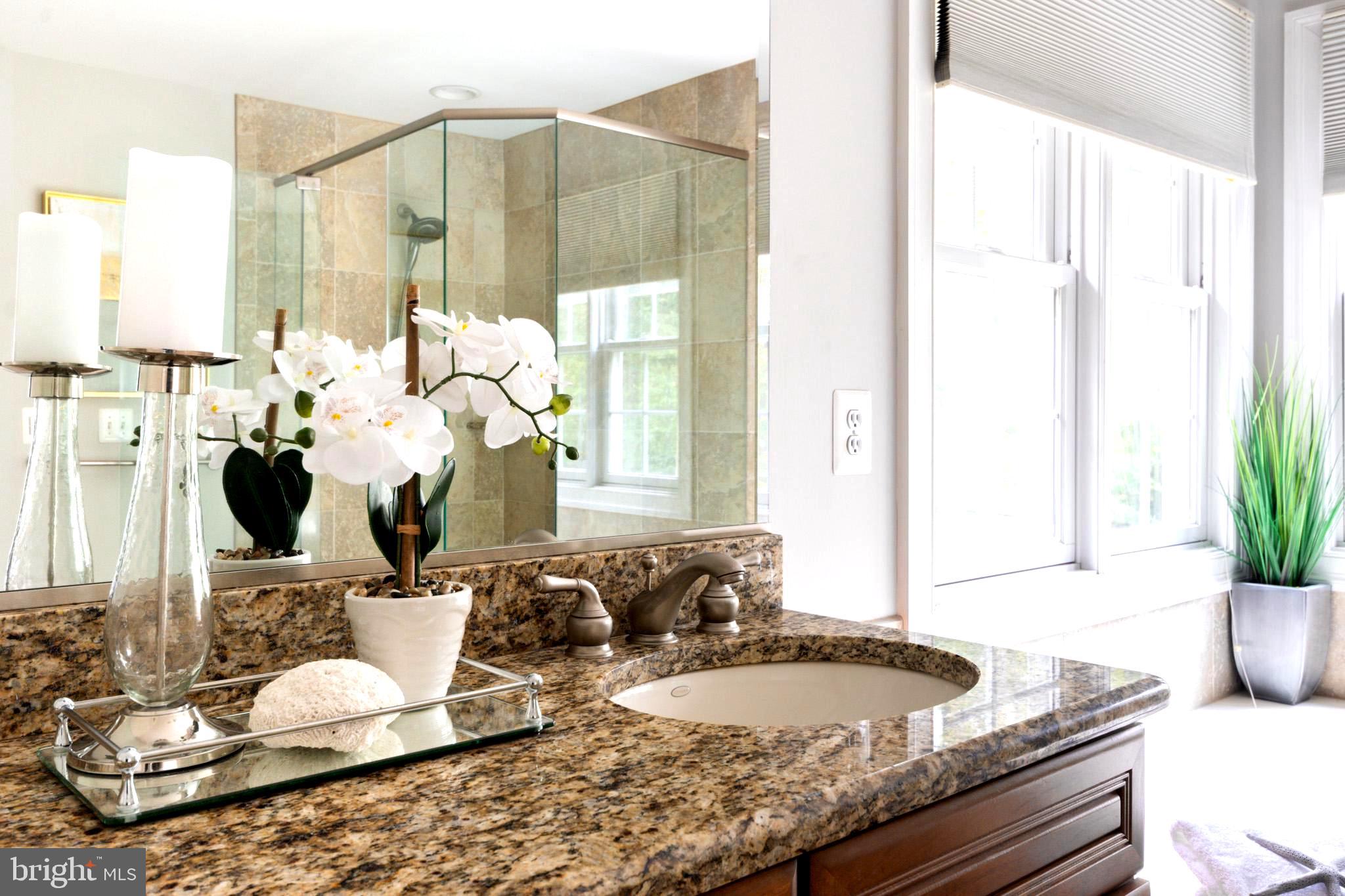3965 Patuxent River Road Davidsonville, MD 21035 - Photo 41 of 66 Sophisticated owners bathroom