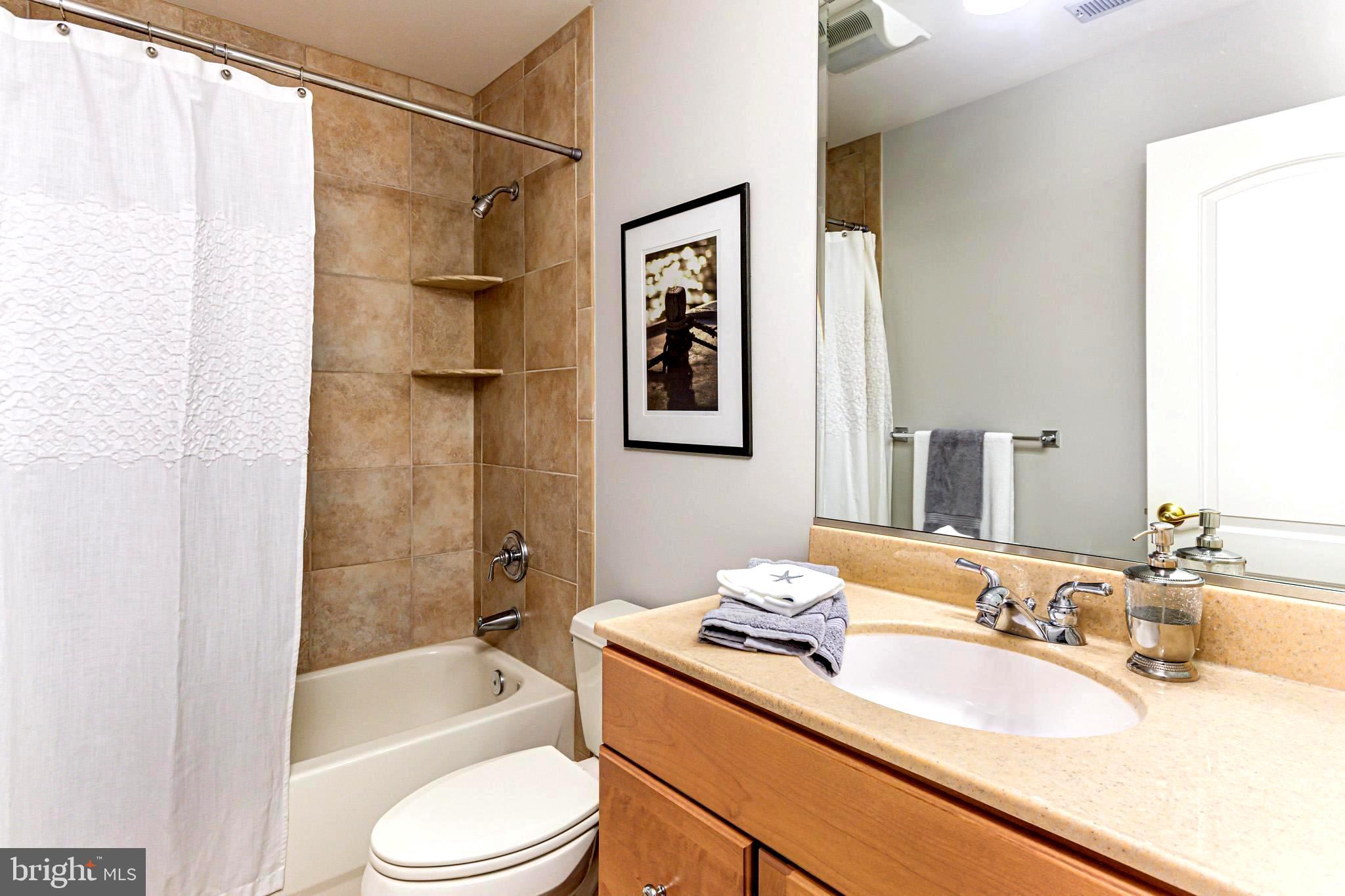 3965 Patuxent River Road Davidsonville, MD 21035 - Photo 51 of 66 Nothing standard in this bathroom