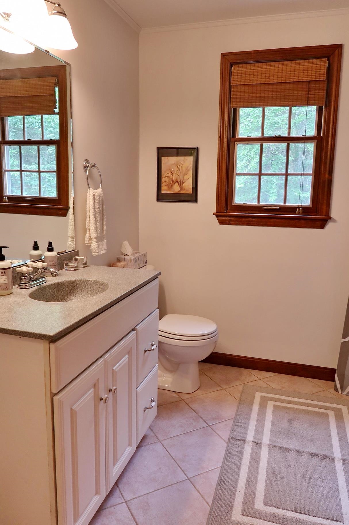 423 Blaney Road Bethlehem, NH 03574 - Photo 20 of 40 Gallery Image 20
