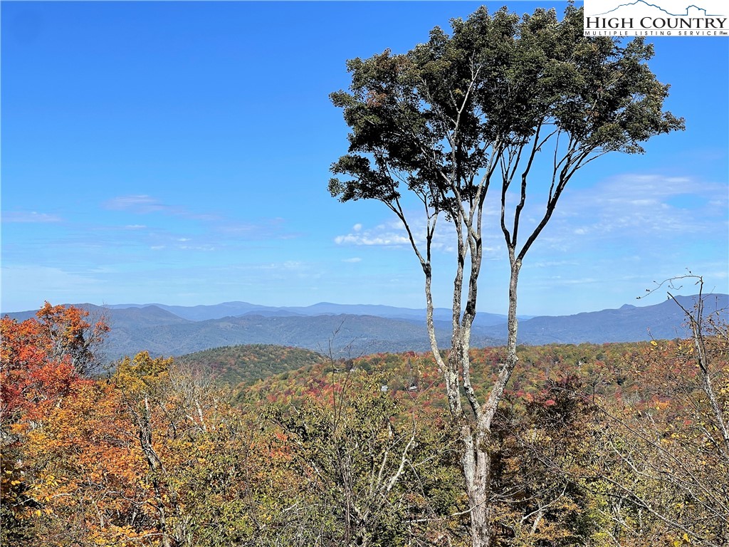 102 Ski Beech Road Beech Mountain, NC 28604 - Photo 3 of 40 a view of a tree in a field