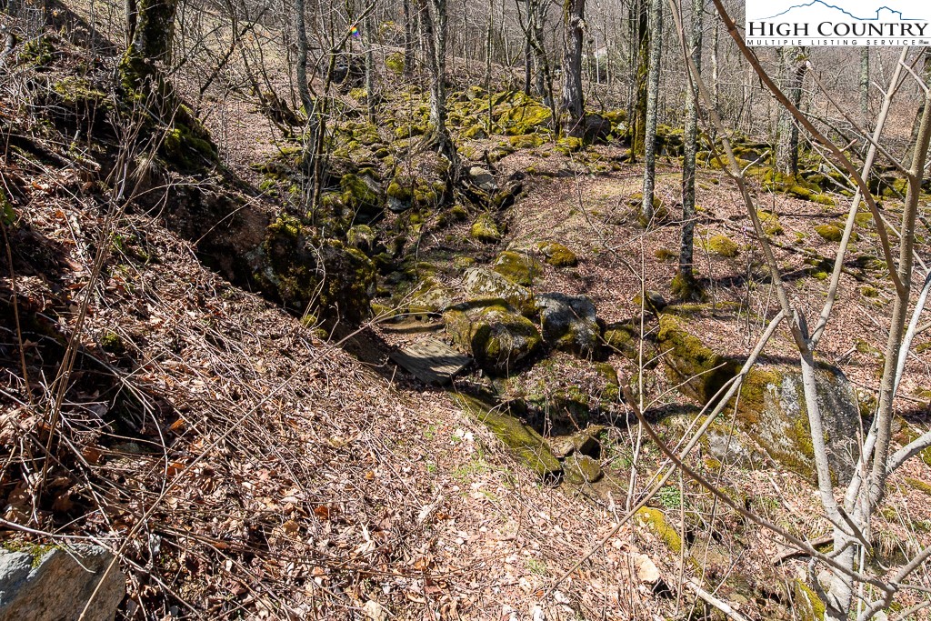 102 Ski Beech Road Beech Mountain, NC 28604 - Photo 37 of 40 a view of a yard with wooden fence