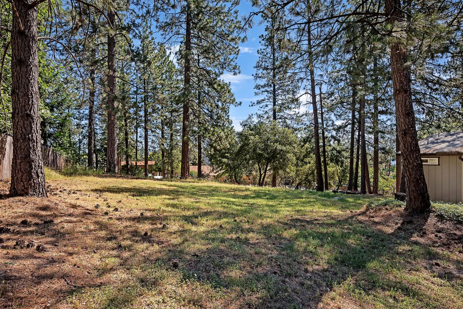 11380 Clinton Bar Road Pine Grove, CA 95665 - Photo 34 of 38