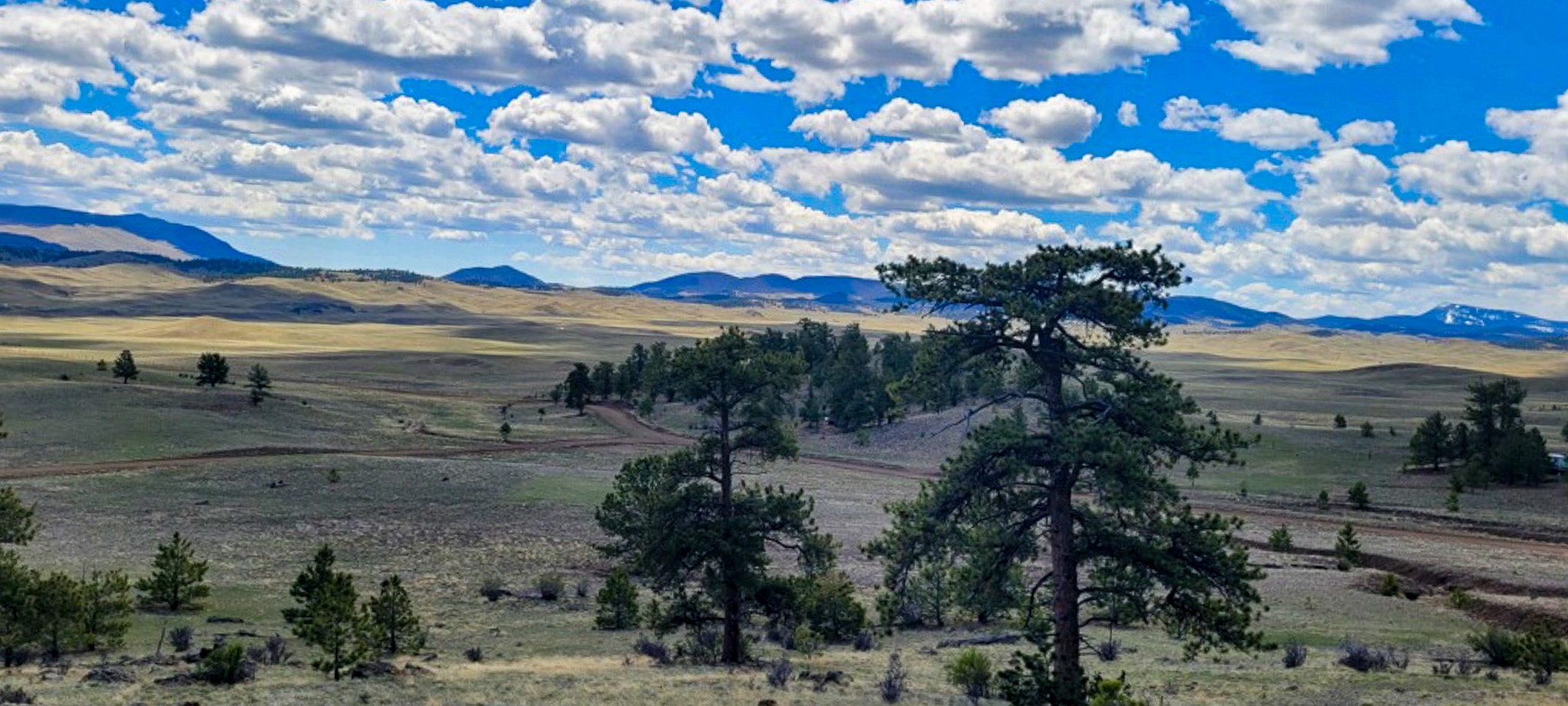 Tbd Tbd Black Beaver Rd/ Keechi Road Hartsel, CO 80449 - Photo 17 of 28 Gallery Image 17