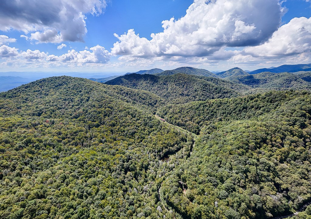 9765 Little Snowbird Road Robbinsville, NC 28771 - Photo 11 of 34