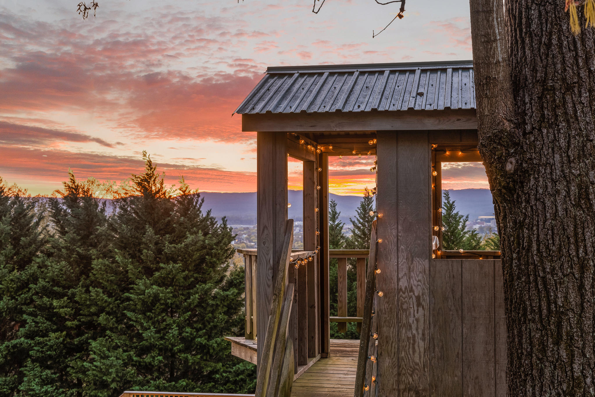 63 South Crest Road Chattanooga, TN 37404 - Photo 114 of 119 SCrestTwilight-3