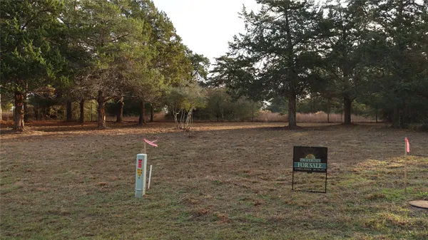 a view of a park with large trees