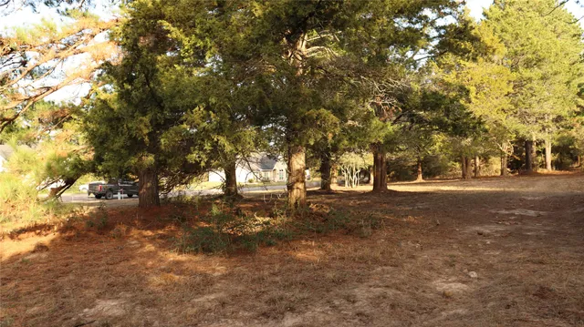 a view of outdoor space with lots of trees