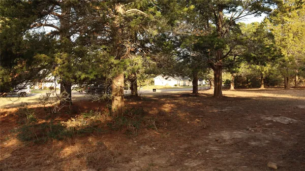 a view of a yard with a tree