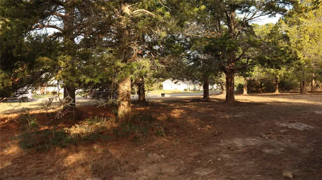 a view of a yard with a tree