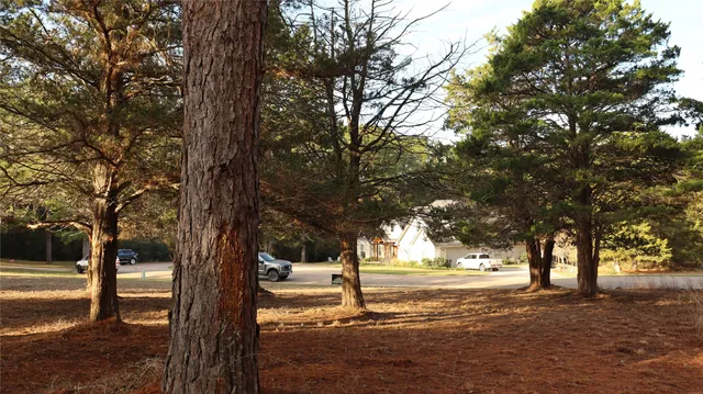 $75,000 | Lot 26 Doral Drive, New Ulm, TX 78950