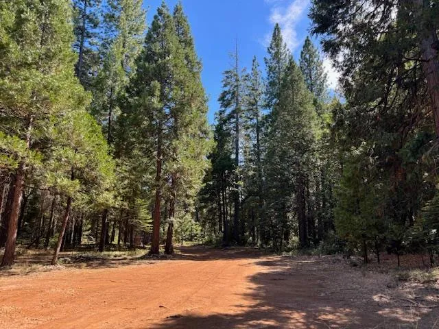 $99,000 | 18418 Cruzon Grade Road, Nevada City, CA 95959