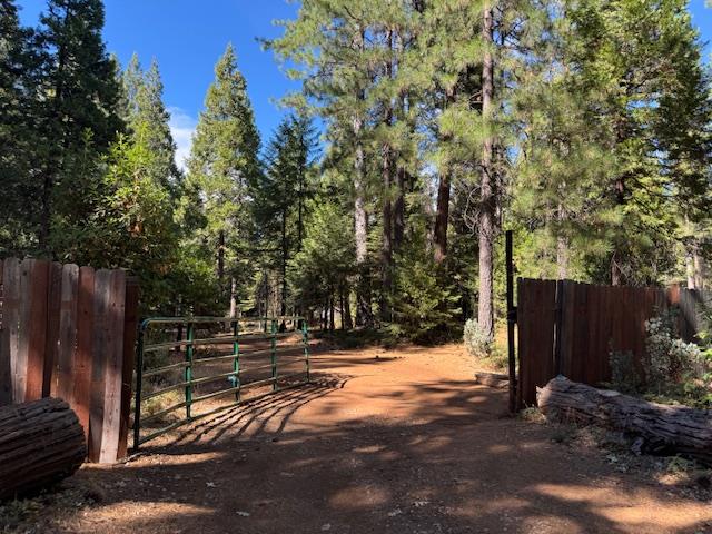 18418 Cruzon Grade Road Nevada City, CA 95959 - Photo 2 of 11