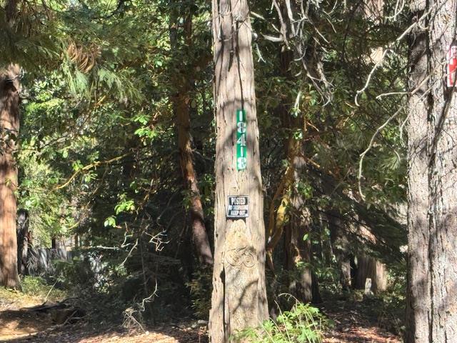 18418 Cruzon Grade Road Nevada City, CA 95959 - Photo 3 of 11 Address on Tree