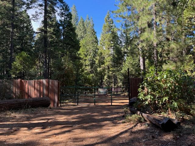 18418 Cruzon Grade Road Nevada City, CA 95959 - Photo 4 of 11
