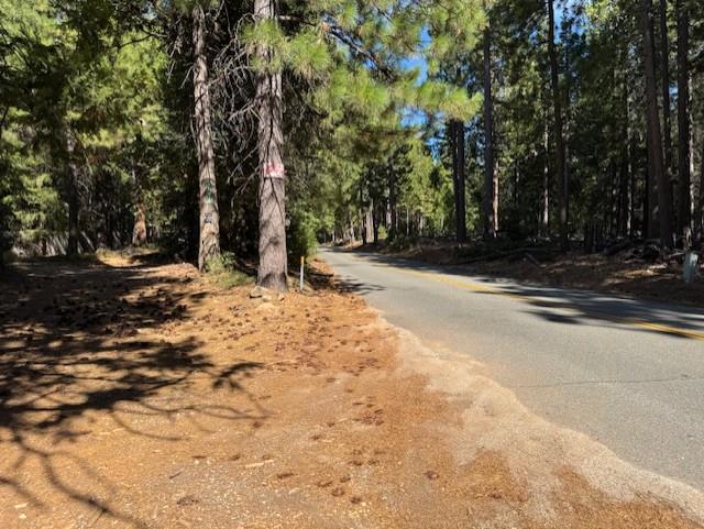 18418 Cruzon Grade Road Nevada City, CA 95959 - Photo 5 of 11 Driveway off Road