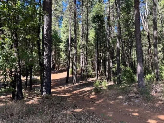 $99,000 | 18418 Cruzon Grade Road, Nevada City, CA 95959