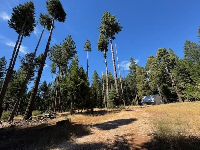 $99,000 | 18418 Cruzon Grade Road, Nevada City, CA 95959