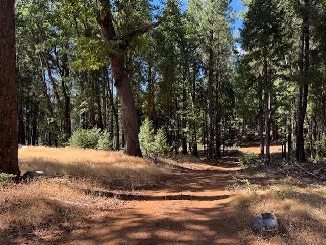$99,000 | 18418 Cruzon Grade Road, Nevada City, CA 95959