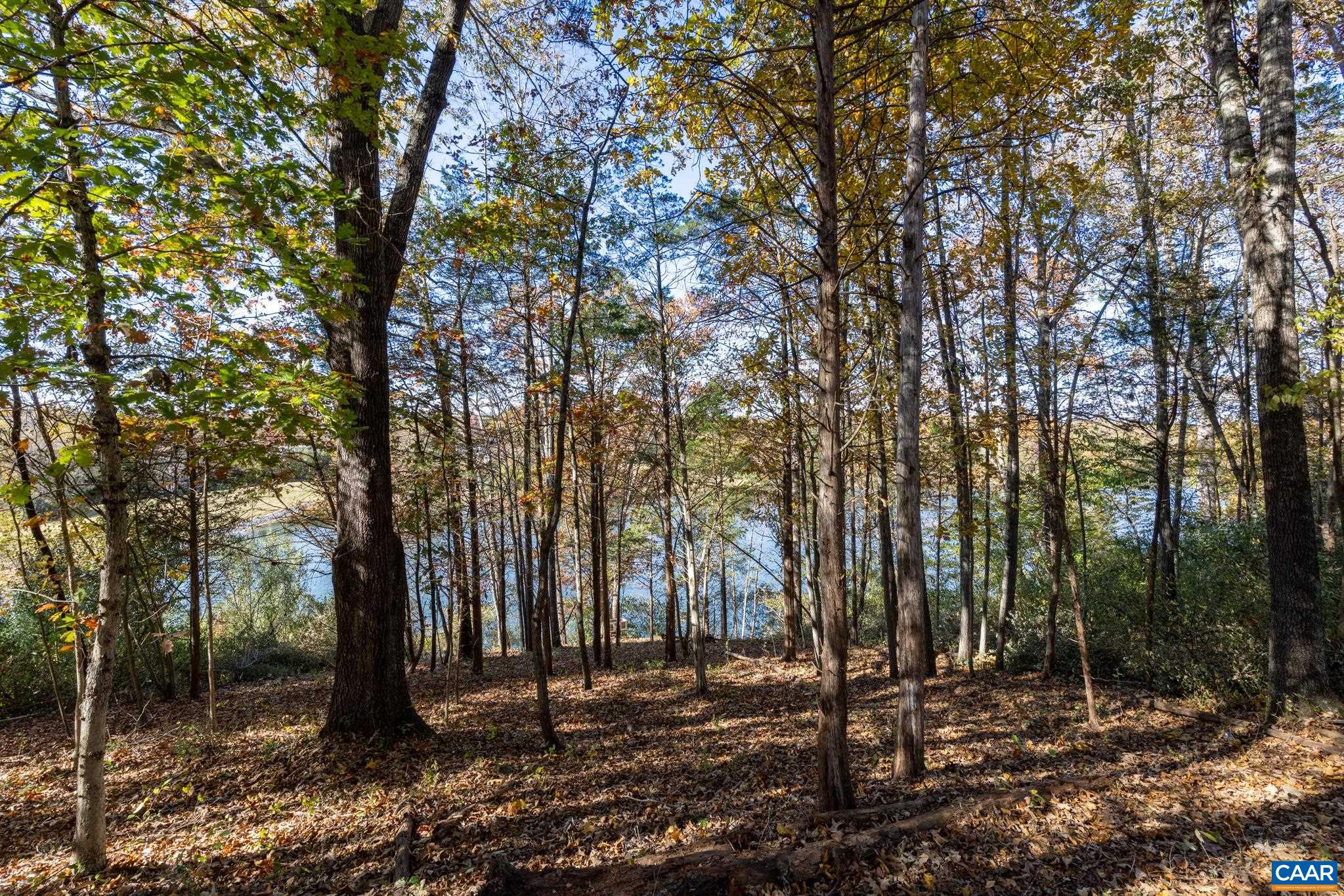 736 Jonquil Road Ruckersville, VA 22968 - Photo 34 of 37