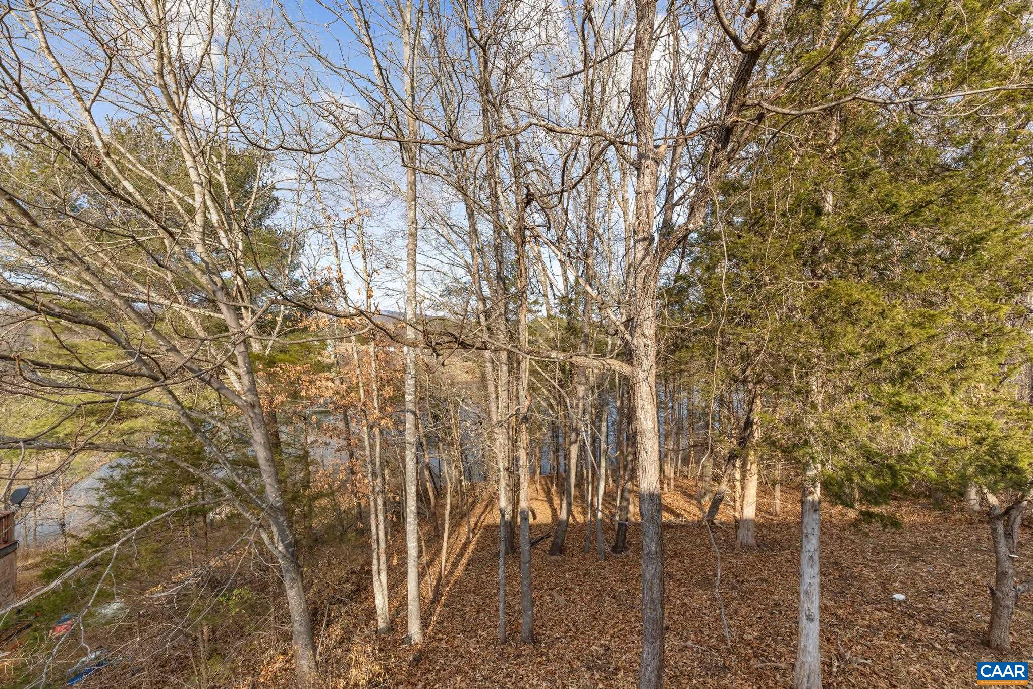 736 Jonquil Road Ruckersville, VA 22968 - Photo 37 of 37