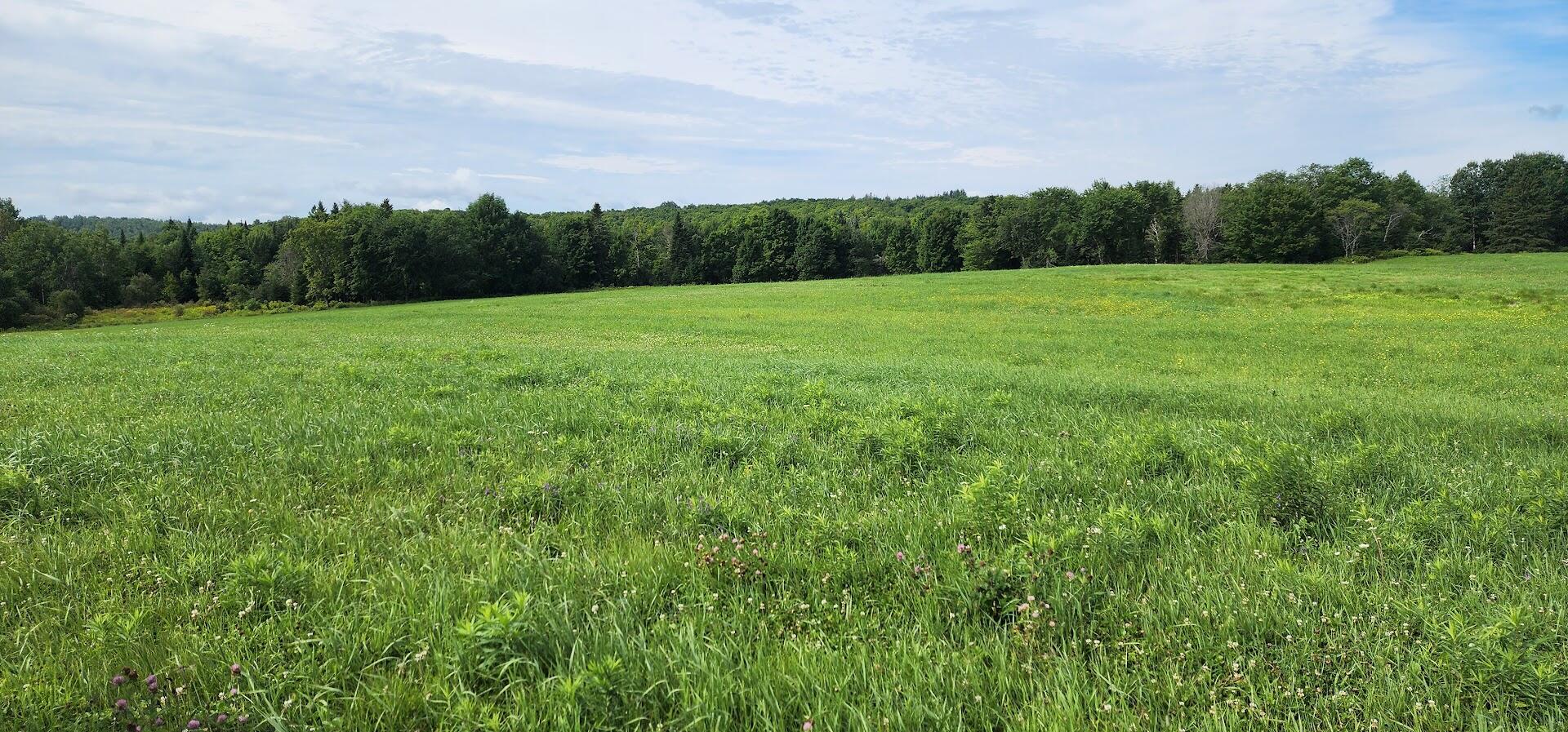 176 Rebel Hill Road Merrill, ME 04780 - Photo 4 of 29 20240806_094923