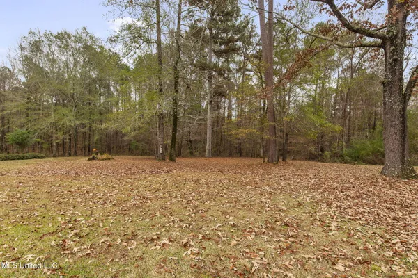 $509,000 | 113 Allenwood Drive, Canton, MS 39046